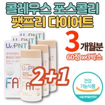 콜레우스 포스콜리 추출물 알약 정 환 포스콜린 forskolin 나이아신 30대 40대 50대 60대 중년 여성 남성 다이어트 체지방 감소, 3박스