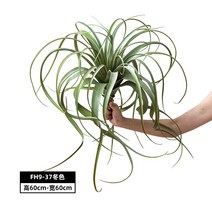 틸란드시아 대형 그린 인테리어 베란다 정원 조화 인조 식물 플랜테리어 세로그라피카 코튼캔디 에어플랜트, FH9-37동색