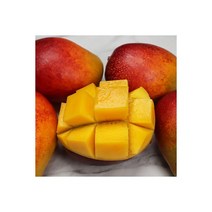 제주 선물용 애플망고 2KG(5-6과) 과일선물 명절 맛있는망고, 제주 선물용 애플망고 2KG(5-6과