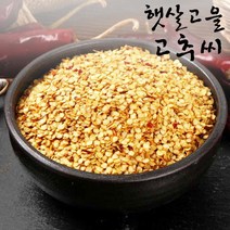 [햇빛고을] 고추씨 1kg, 단품