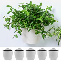 플라스틱 벽결이 화분 저면관수화분 행잉 원형 수직정원 실내 5p세트, 단품
