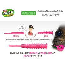 버클리 걸프 얼라이브 샌드사딘 1.8인치 볼락 풀치 전갱이 우럭, 1.8인치(병타입), CH(차트루즈)
