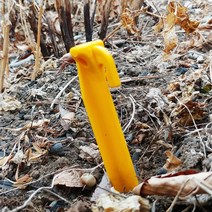 우레탄창 부속/우레탄창부속/비닐문부자재/고무줄/우레탄창문텐트제작 필요/만들기, 200번텐트팩(랜덤)