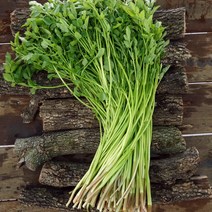 FRESH 야들야들한 무농약 청도 한재 미나리, 청도 한재미나리 500g, 1개