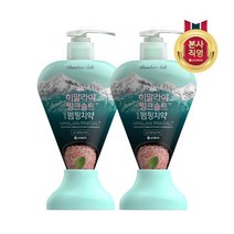 죽염 히말라야 핑크솔트 펌핑치약 아이스카밍민트, 285g, 2개입