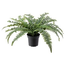 이케아 페이카 인조식물 실내외겸용 고사리 41cm 화분지름15cm, 없음