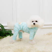 [펫디자인] 싱글스판올인원 8colors 강아지옷추천 강아지올인원, 민트
