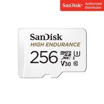 샌디스크 블랙박스전용 마이크로 SD SDSQQNR, 256GB