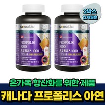 온가족 항산화 프로폴리스 캐나다산 아연 면역기능 비움샵 12개월분 bee propolis 50대 60대 70대 중년 노인 시니어 부모님 추천 식약처인증 플라보노이드