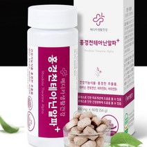 l테아닌 홍경천추출물 판토텐산 비타민B 스트레스 디스트레스 불안 초조 장애 긴장완화 피로개선 신경안정제 태아닌 불면증 수면장애 해소 숙면 알파파 릴렉스 영양제, 2병(2개월)