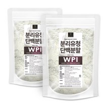 퓨어영 단백질보충제 WPI 분리유청단백질 500g, 2봉