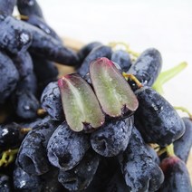 프리미엄 블랙사파이어포도 2kg, 2000g, 1개