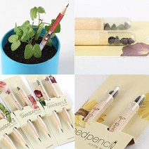 행복한 화원 자연관찰 졸업 입학선물 씨앗연필 필통 세트, 상품선택, 나팔꽃, 나팔꽃