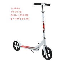 2발 킥보드 접이식 두발 전동 성인 이륜, 흰색 풋 브레이크