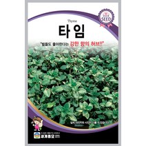 타임 씨앗 허브 종자 향신료 씨 thyme seed 200알, 1개