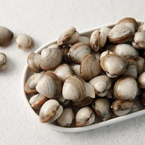 서해안 고창 자연산 해감 동죽조개 물총조개 5kg, 단품