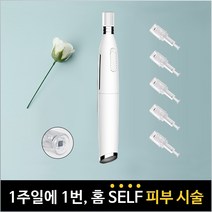 나노 더마펜 최신형 충전식 오트 MTS 셀프 홈케어 AMTS MTS기기, 나노더마펜 건전식 ZD208