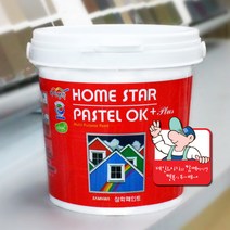 홈스타파스텔 반광 1L 방문가구페인트 실크벽지 몰딩페인트, 오렌지에이드