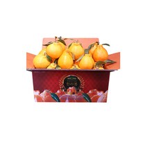 한라봉 제주한라봉 가정용 3kg 5kg 당도보장 제철과일, 5kg 중대과(18~25수)