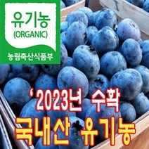 햇님농원 국산 유기농인증 블루베리 냉동 특 농장직송 당일수확 선물용, 1개, 1KG