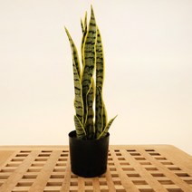 극락조 드라세나 조화 나무 화분 가지 소형 대형 장식, 산세베리아, 소, 1개