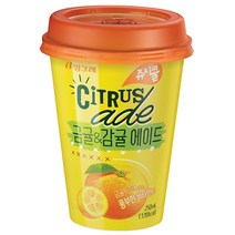 빙그레 쥬시쿨에이드 금귤&감귤에이드 250ml, 40개