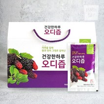 자연그대로 정읍 토종 오디즙 선물세트 90봉×100ml, 단품, 단품