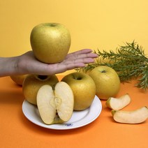 [산지직송] 시나노골드 황금사과 스위트 시나노, 특품 5kg(11-13과), 1개