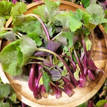 [오늘의채소] 국내산 노지 머위순 500g, 상세 설명 참조