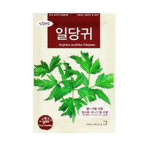 일당귀 씨앗 1g, 단품
