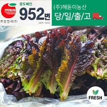 <해돋이농산> 국내산 적상추 상추 쌈채소 쌈야채 1kg 2kg” class=”wr-img”></a></div></p></div></p></div></p></div><div class=