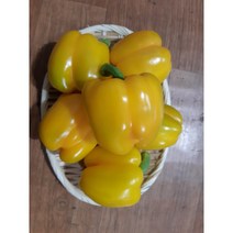 국내산 달고 싱싱한 노랑 파프리카 500g