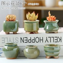 다육화분 다육이 심폴 화분 식물 미니 화분세트, 도자기, 옵션67