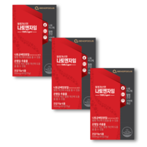 [3개월분] 나토엔자임 3BOX (혈행개선 기억력개선 나토키나제)