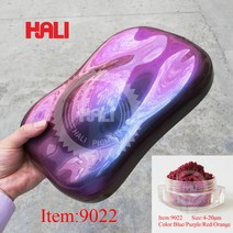 카멜레온 안료 색상 이동 안료 자동 페인트 안료 분말 항목: 209GR 1lot = 10gram 입자 크기: 30-150um 무, 25 9022