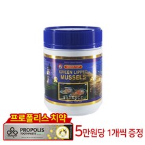그린탑 그린탑 초록입홍합 1000mg 500캡슐, 1개, 500정
