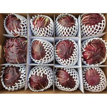 야채왕 국산 라디치오 12통 1box, 1, 4kg 내외