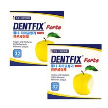 덴트픽스 틀니 치아교정기 세정제 32정 x 2개 의치 구강장치전용세척