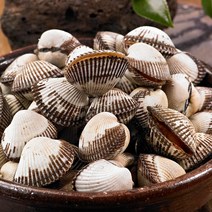청정갯벌 여자만 벌교 새꼬막 중 상 대품 1kg, 새꼬막 상 사이즈 1kg 90미 내외
