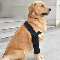 반려견 슬개골 보호대 강아지 무릎 고정대 부상 쓸개골 보호, 블루