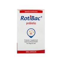 완벽냉장+무배]로티백 신장 영양제90EA, 30mg, 1box