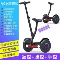 3륜전동스쿠터 10인치 두발킥보드 노인전동스쿠터 전동킥보드용품 앉아서타는전동킥보드 접이식전동스쿠터 나노휠전동킥보드 성인용 전동스쿠터속도50km 듀얼트론울트라 성인용 전동스쿠터, 54V 블랙 글리터 K9 듀얼 컨트롤+앱 밴드 시트