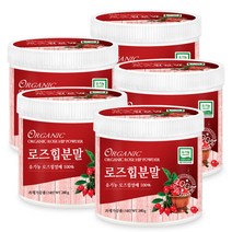 푸른들판 유기농 로즈힙 분말 가루 100% 순수 로즈입 열매 차 티 파우더 건조 말린 야생 장미 추천 ROSEHIP, 240g, 5개
