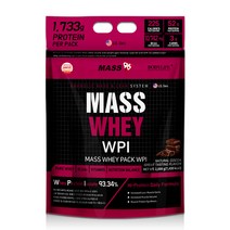 매스96 매스웨이 포대유청 WPI 보충제 초코맛, 2000g, 4개