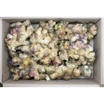 믿을수 있는 우리 농산물 흙생강 200g, 1개