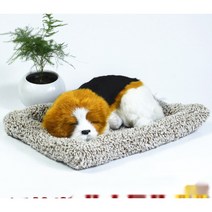 차량 가정 용 대형 2개 귀여운 예쁜 잠자는 판다 강아지 대시보드 제습제 탈취제 악세사리 공기 제습 반려 인형 반려견 용품 장식 방향제 숯 신차구입 집들이 새집 선물 추천 1+1, 작은 검은 개, ONE SIZE