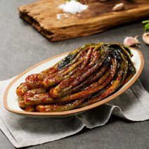 국내산 100% HACCP 인증 남도 자연락 배추김치 총각김치 갓김치 파김치 백김치 깍두기, 10kg