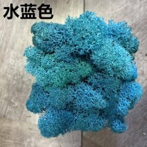 플라워월 꽃벽 포토존 인조 조화 꽃 장식 20g 인공 식물 영원한 생명 이끼정원 홈 인테리어 DIY 재료 미니 정원 마이크로 조경 액세서리, 20g+4