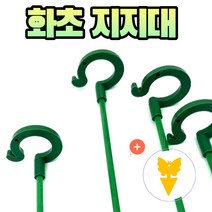 농사친구 화분 식물 오링 지지대 10개 + 박사끈끈이 1매세트, 27cm10개+끈끈이1매