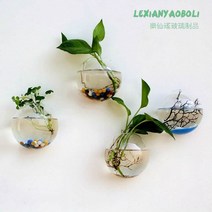 1+1 테라리움 유리병 유리꽃병창의 벽걸이식 꽃병 반원 투명 수배 유리 공예품 가정 장식품 공장 도매나무 트레이, 15cm 스크래치 슬라임 배달